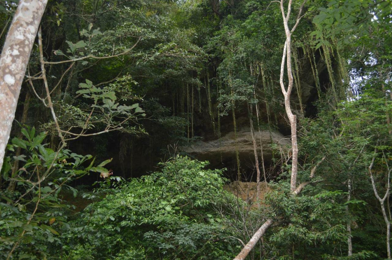 Bukit Lawang Landak River Guest House Exterior foto