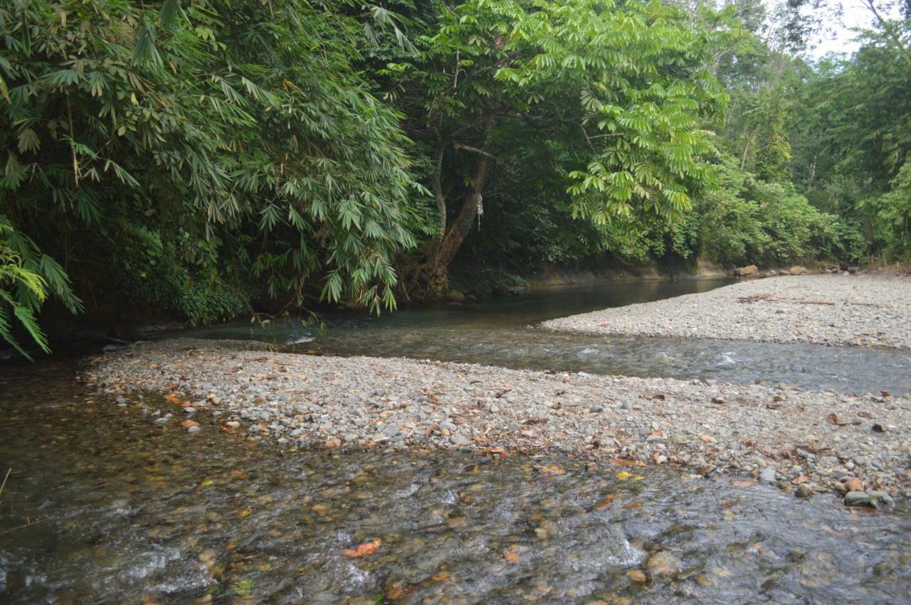 Bukit Lawang Landak River Guest House Exterior foto
