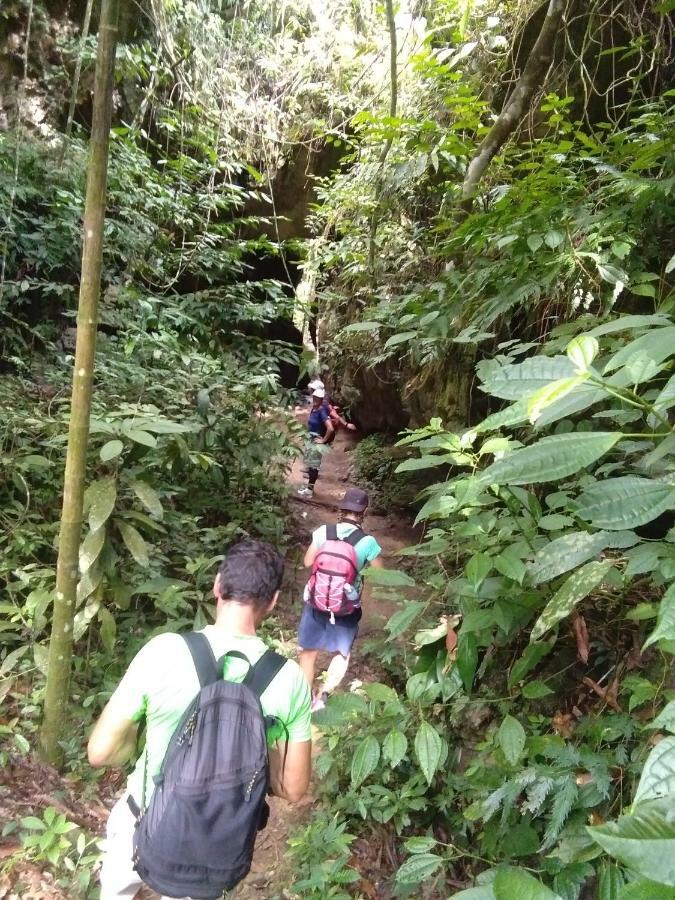 Bukit Lawang Landak River Guest House Exterior foto
